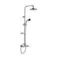 Column With Handshower and Shower PE