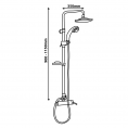 Column With Handshower and Shower PE